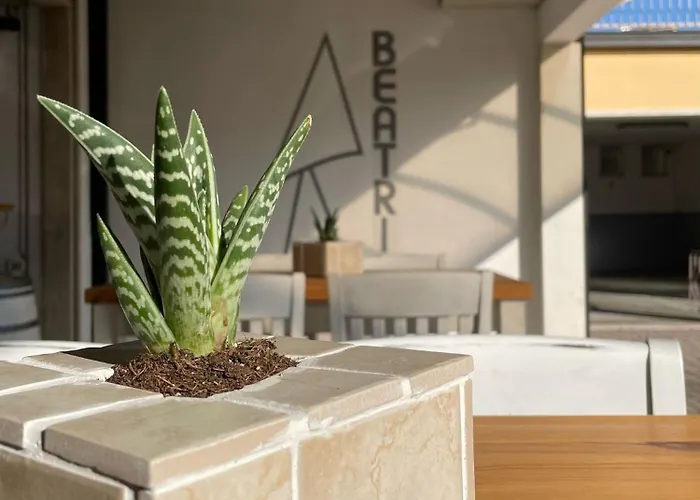 Wein Бардолино